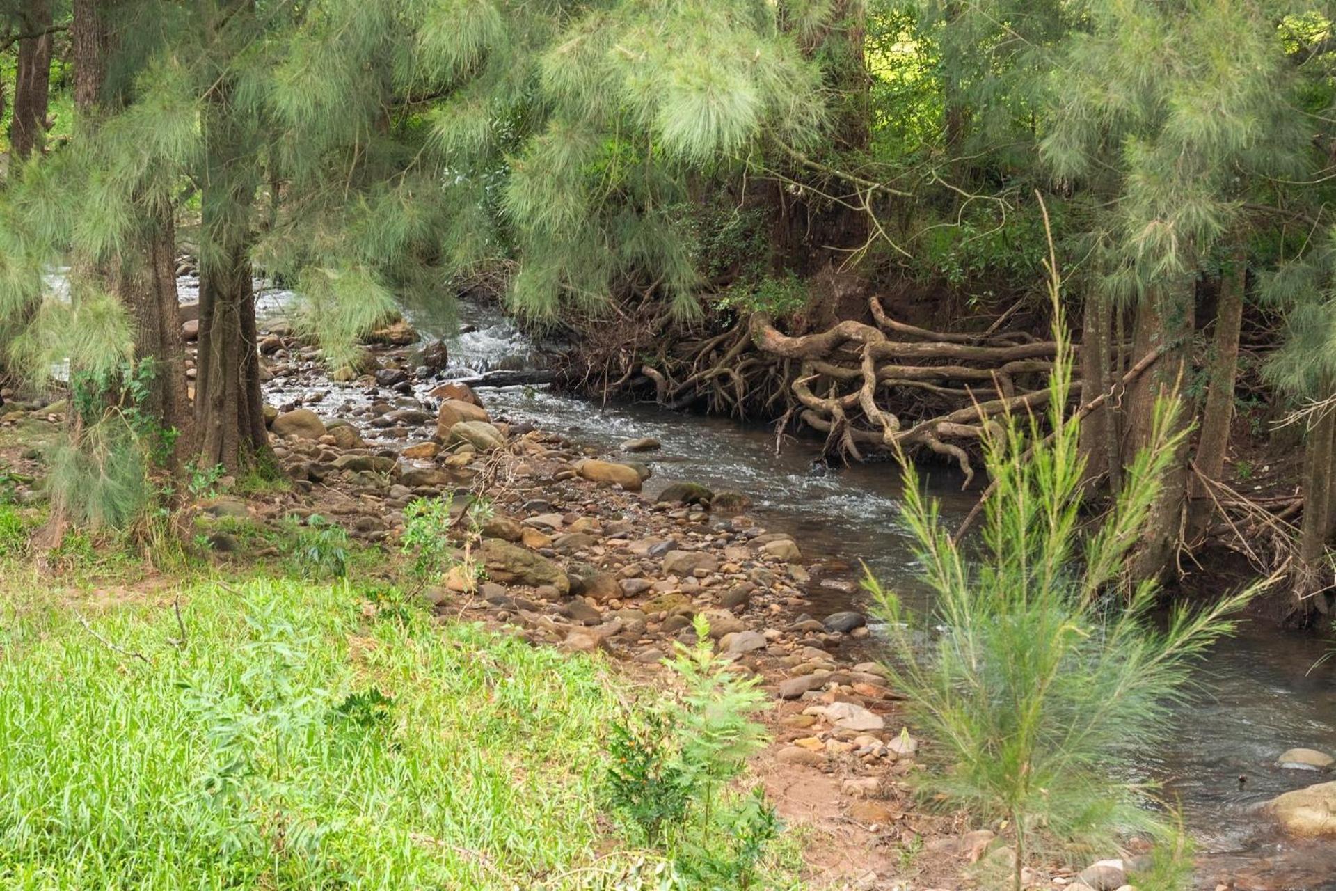 Cottage Comfort Kangaroo Valley Εξωτερικό φωτογραφία